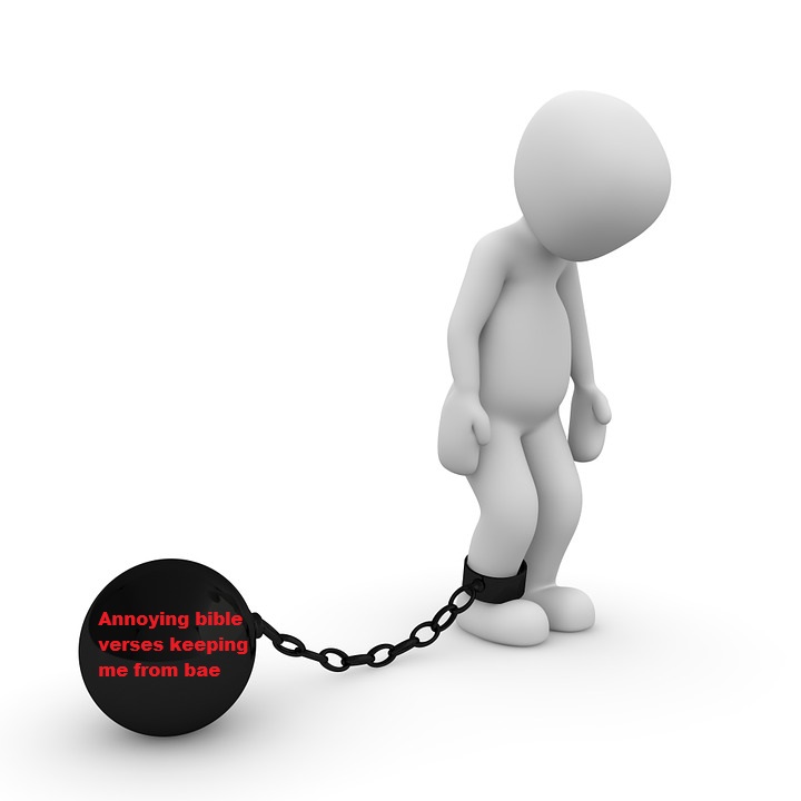 caught-1013600_960_720 (1)