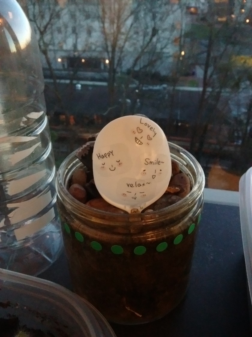 IMG_20180125_180806418